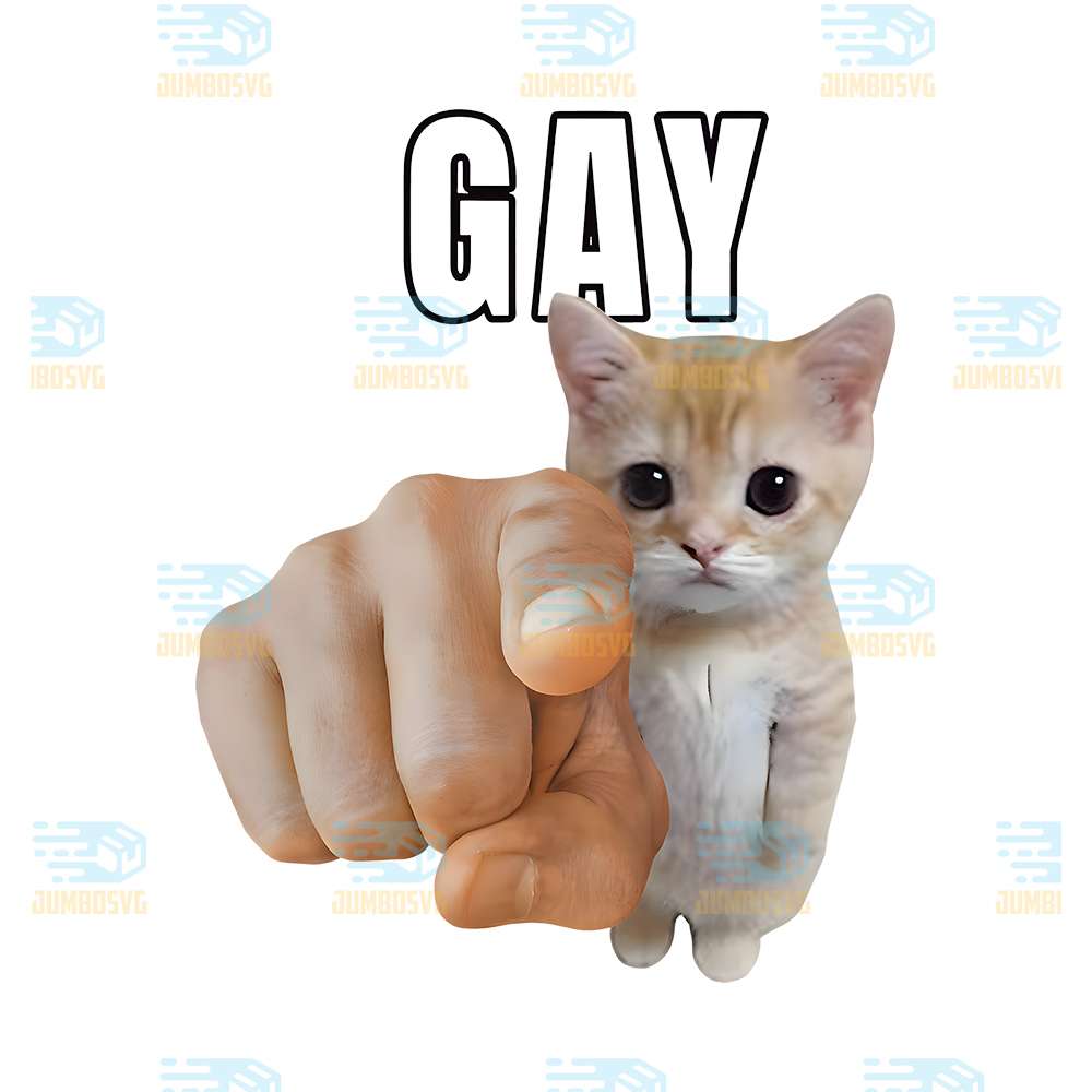 Gay-Cat-Png