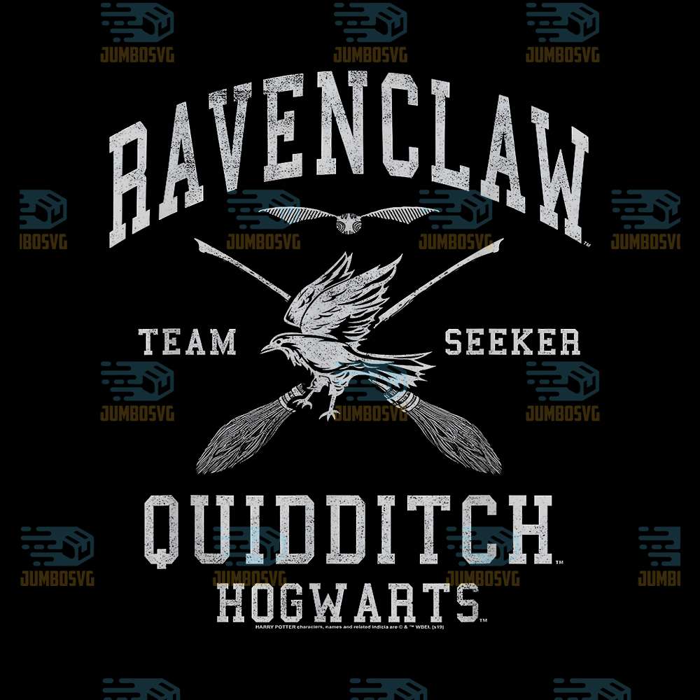 Harry-Potter-Ravenclaw-Quidditch-Team-Seeker-Hogwarts-Png