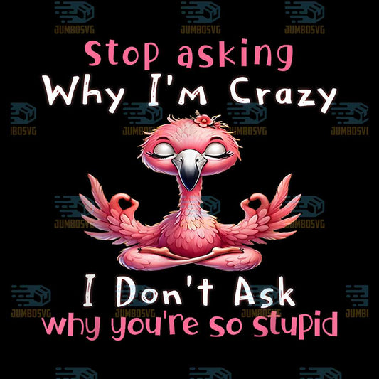 Stop-Asking-Why-I-m-Crazy-I-Don-t-Ask-Why-You-re-So-Stupid-Flamingo-Lovers-Png