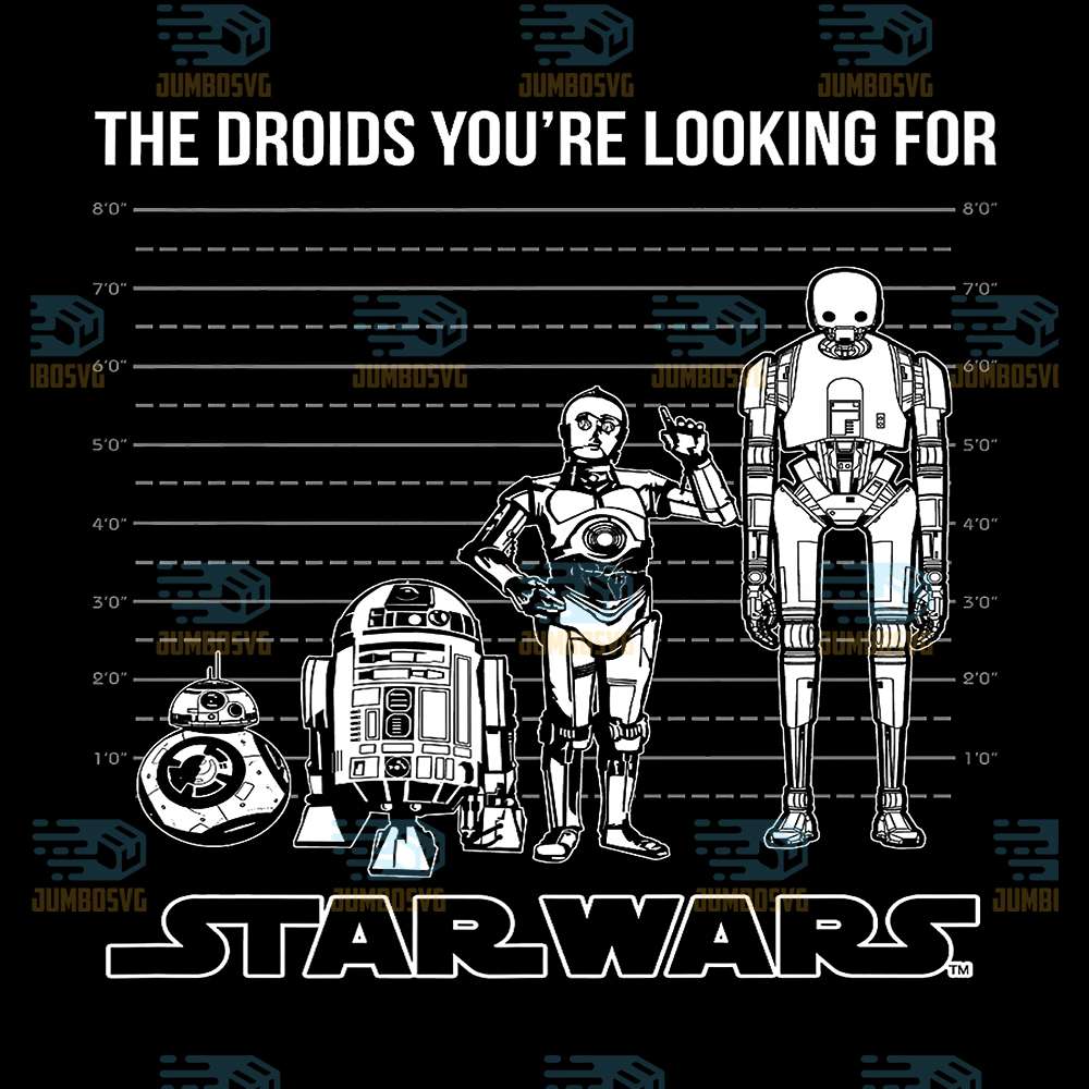 The-Droids-Your-re-Looking-For-Star-Wars-Png