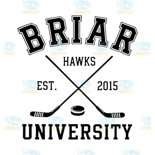 Briar-Hawks-University-Hockey-Est-2015-Png