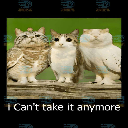 Cats-I-Can-t-Take-It-Anymore-Png