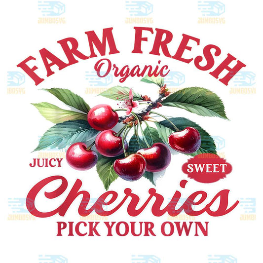 Farm-Fresh-Organic-Cherries-Pick-Your-Own-Png