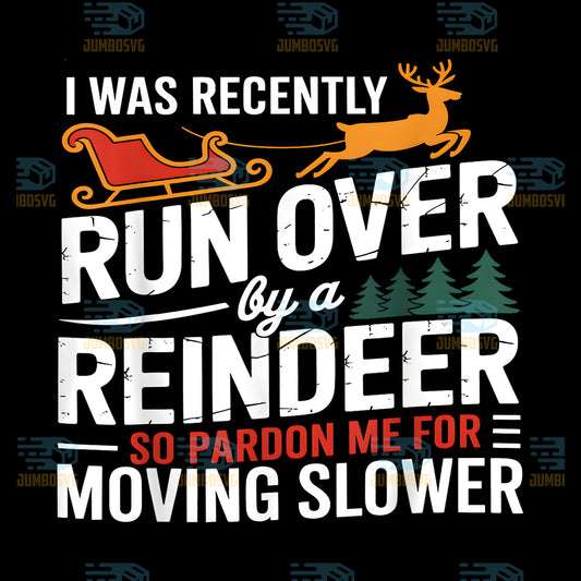 Grandma-Got-Run-Over-by-A-Reindeer-Christmas-So-Pardon-Me-Png