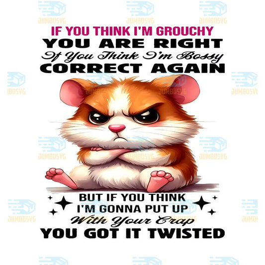 Hamster-If-You-Think-I-m-Grouchy-You-Are-Right-It-You-Think-I-m-Bossy-Correct-Again-Png
