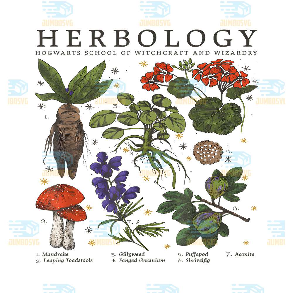 Harry-Potter-Herbology-Png