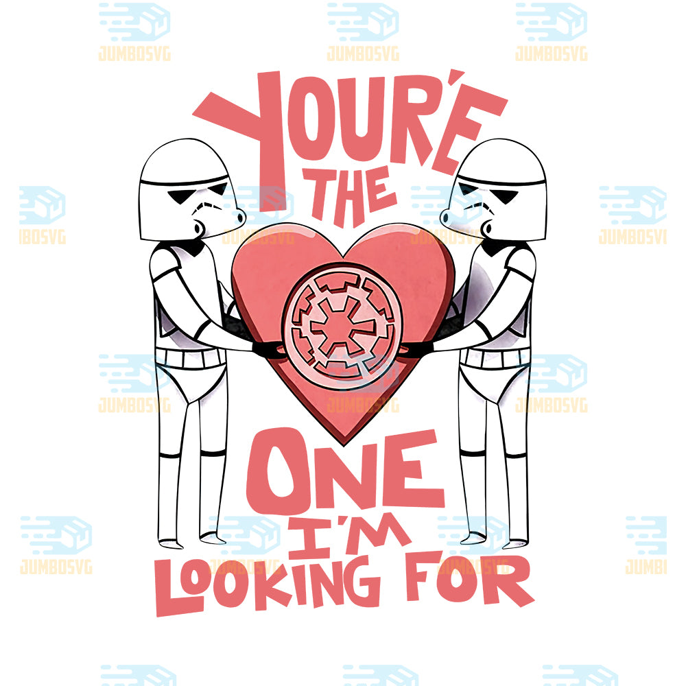 Storm-Trooper-You-re-The-One-I-m-Looking-For-Valentine-Png