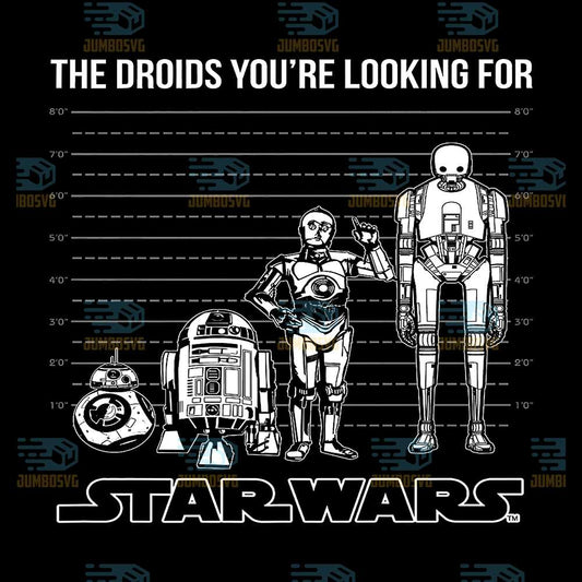 The-Droids-Your-re-Looking-For-Star-Wars-Png