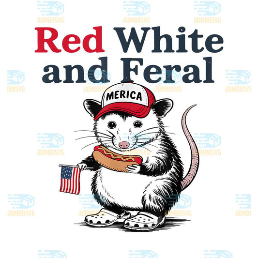 raccoon-4th-of-july-png-2