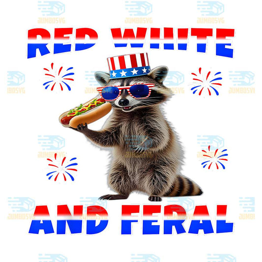 raccoon-4th-of-july-png